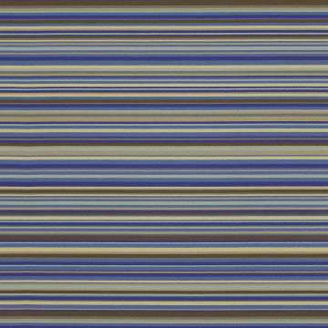 Linguine Ii 484