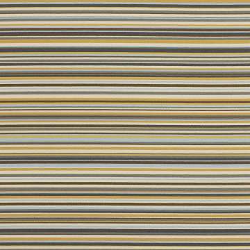 Linguine Ii 484