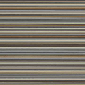 Linguine Ii 484