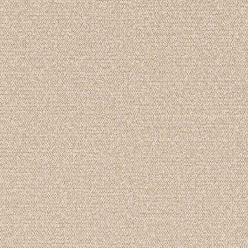 Loop Halo 10