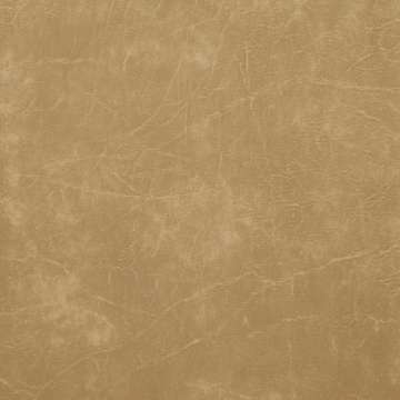 Lugano Bark