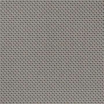 Odyssey Alloy