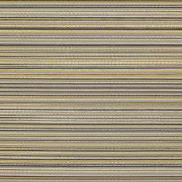 Obi Stripe 444
