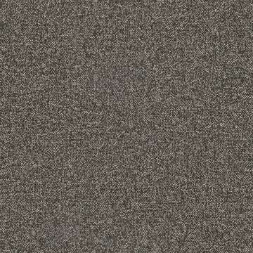Scatter