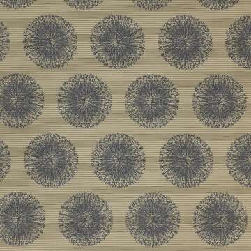 Silica Effloresce