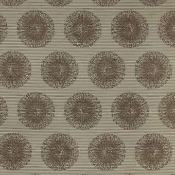 Silica Effloresce