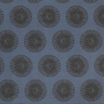 Silica Effloresce