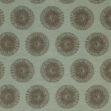 Silica Effloresce