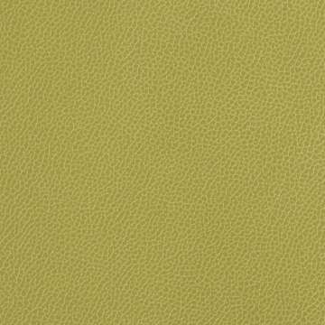 Silica Leather