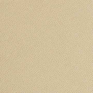 Silica Leather