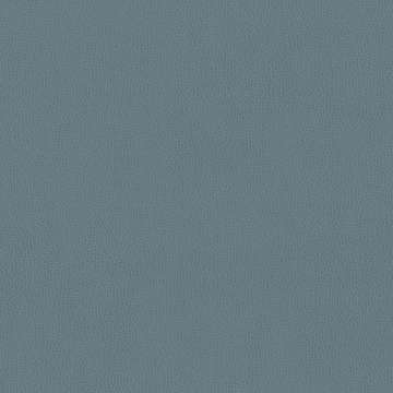 Silica Leather