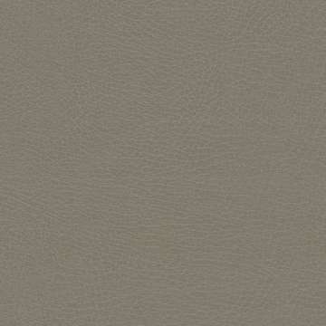 Silica Suede