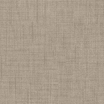 Silk Striae Champagne
