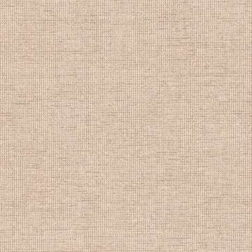 Sloane Cv