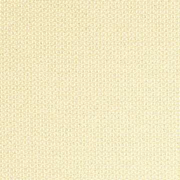 Tenor Champagne