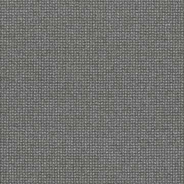 Witzel Cv Ash