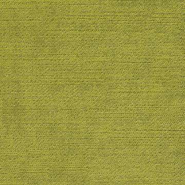 Wonderland Fr