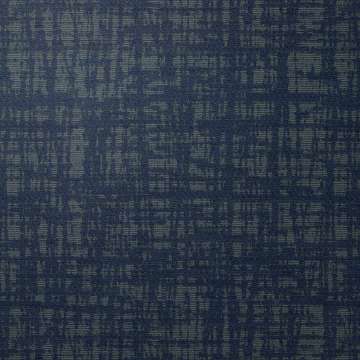 Zoetic Blue Streak