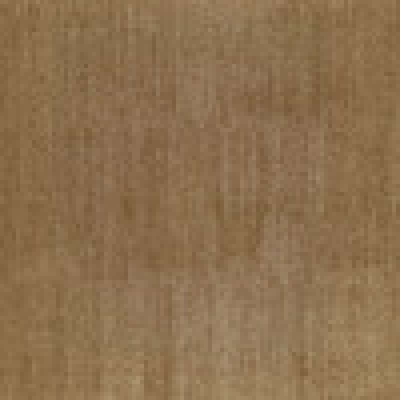 Forestbound Chestnut
