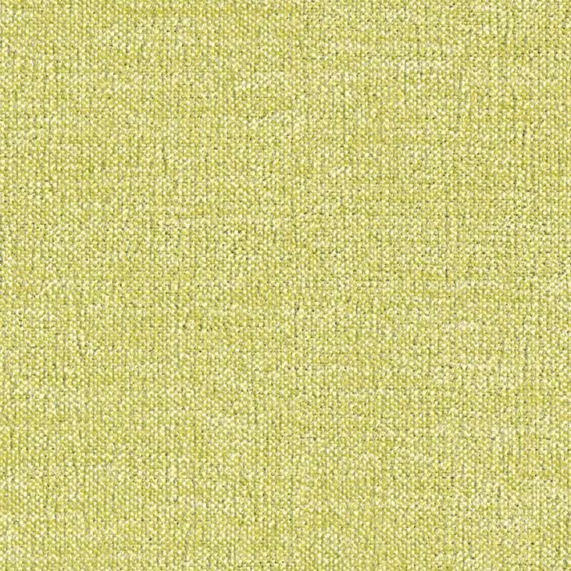 Hint Celadon