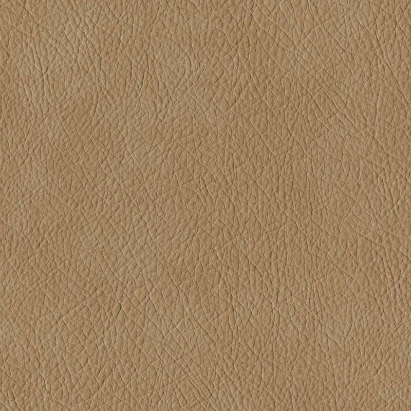 Hyde Chamois