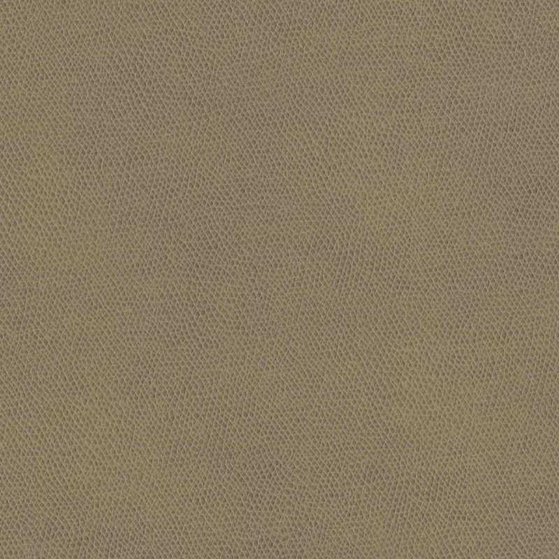 Vero Khaki