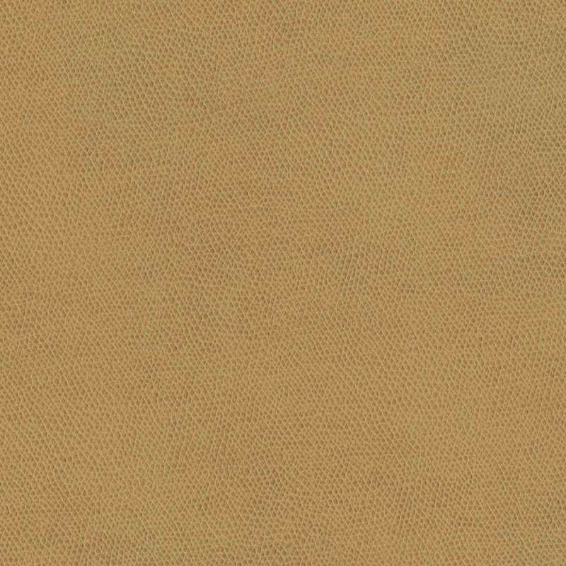 Vero Camel