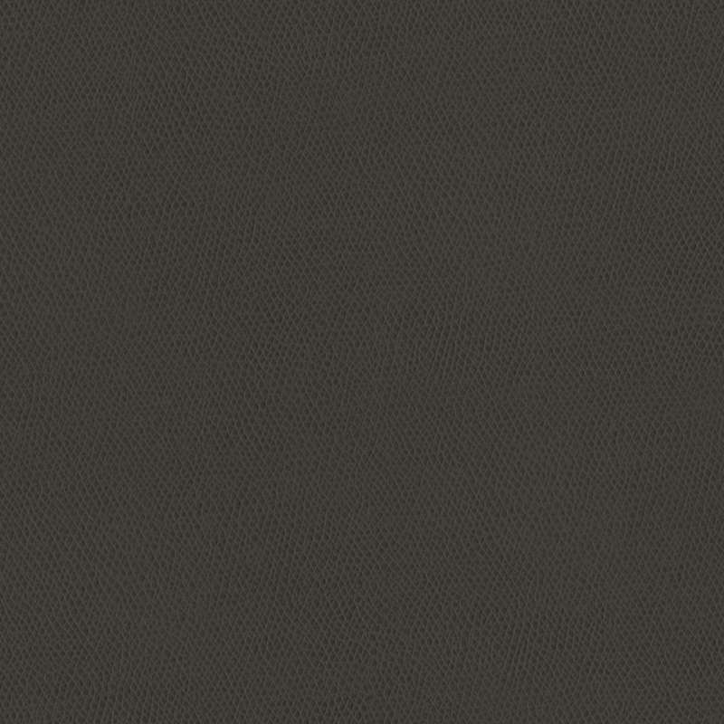 Vero Charcoal
