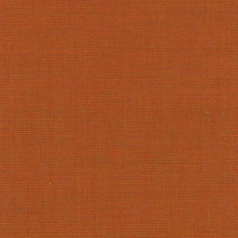 Canvas 2 0556