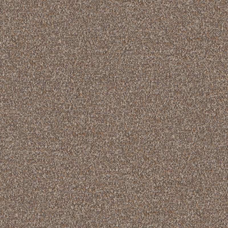 Speckle #1 Cocoa