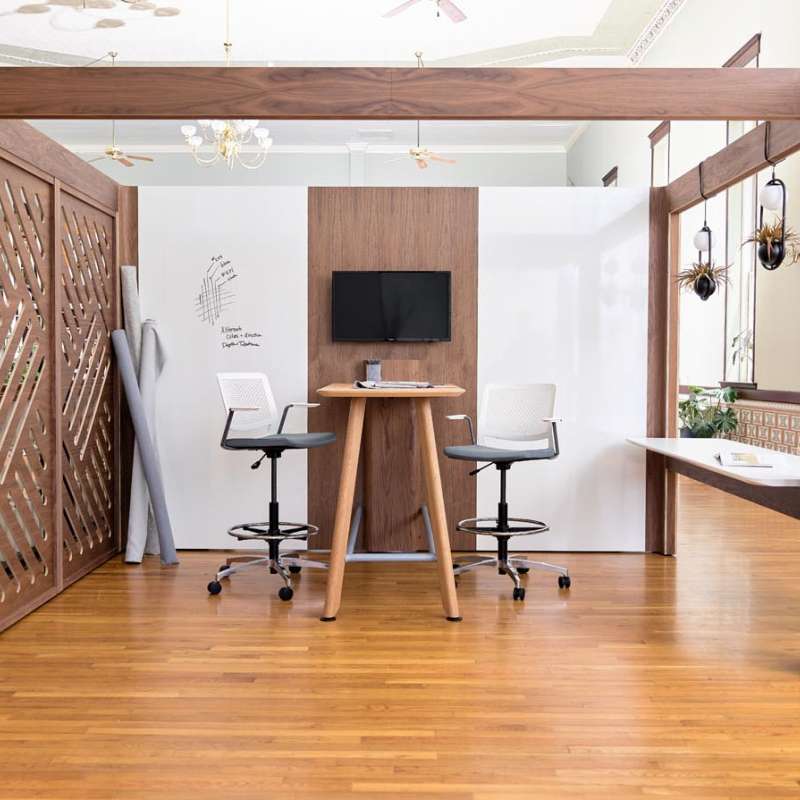 Genus and Genus lite