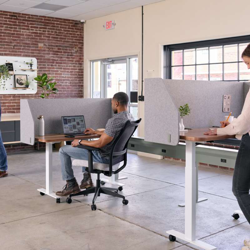 Agile, Sladr, and Heya