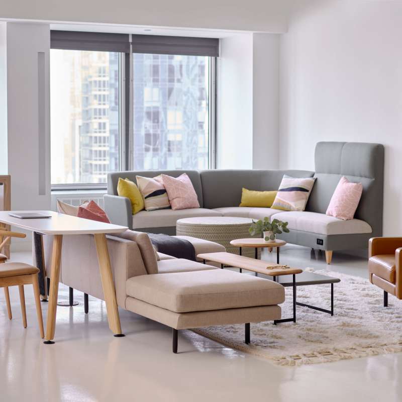 Rowen, Heya, and Coact