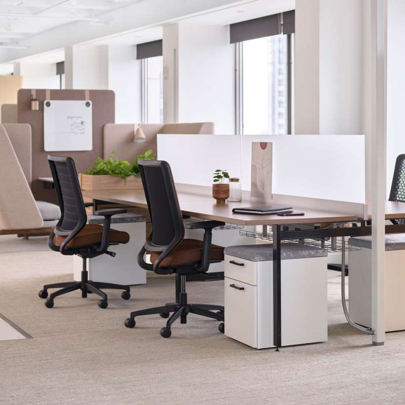 Staks, Genus, and Heya