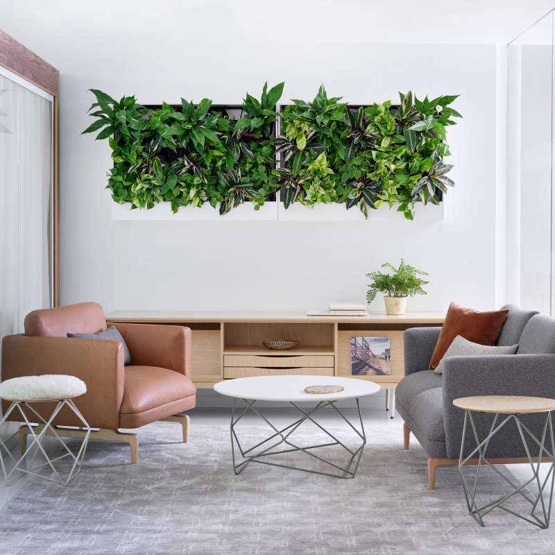 Living Wall Planter, Cosíma, Rowen, ...