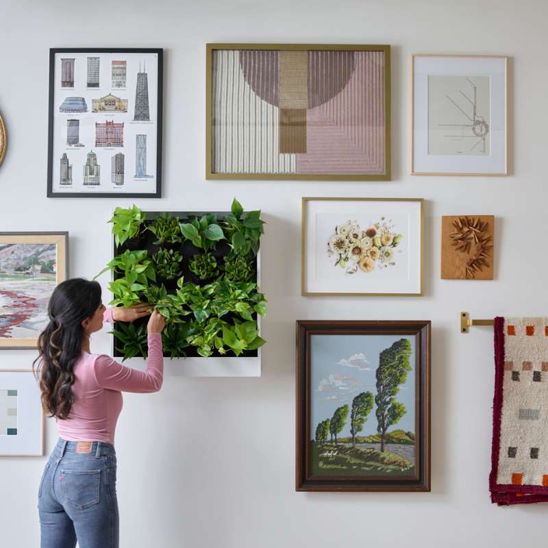 Living Wall Planter