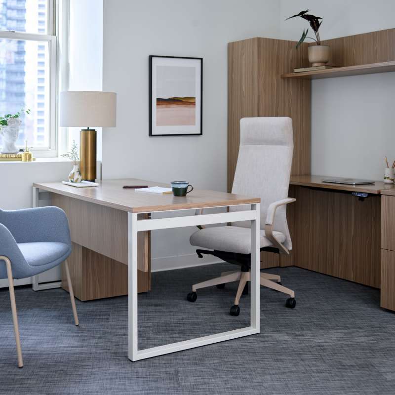 Staks, Sofy, and Pur