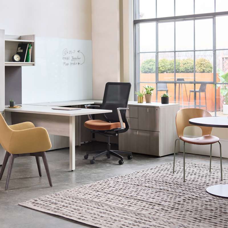 Sofy, Pulse, Nineteen20, Genus, ...