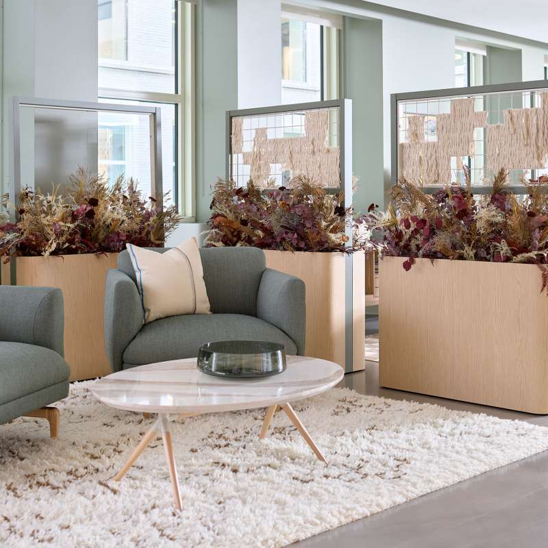 Hydra, Cosíma, and Roo