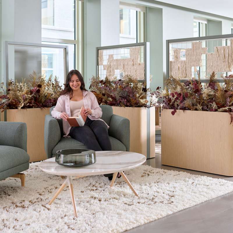 Hydra, Cosíma, and Roo