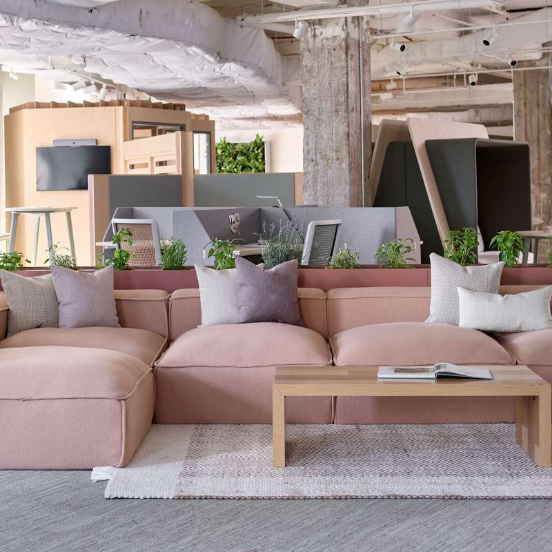 Hinchada, Kintra, and Hydra