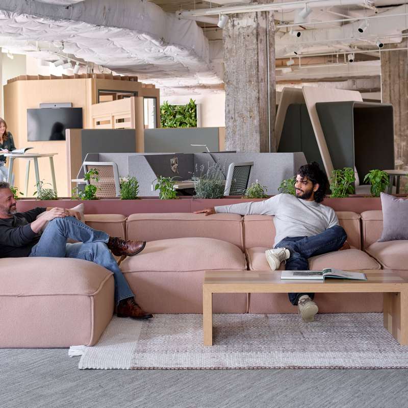 Hinchada, Kintra, and Hydra