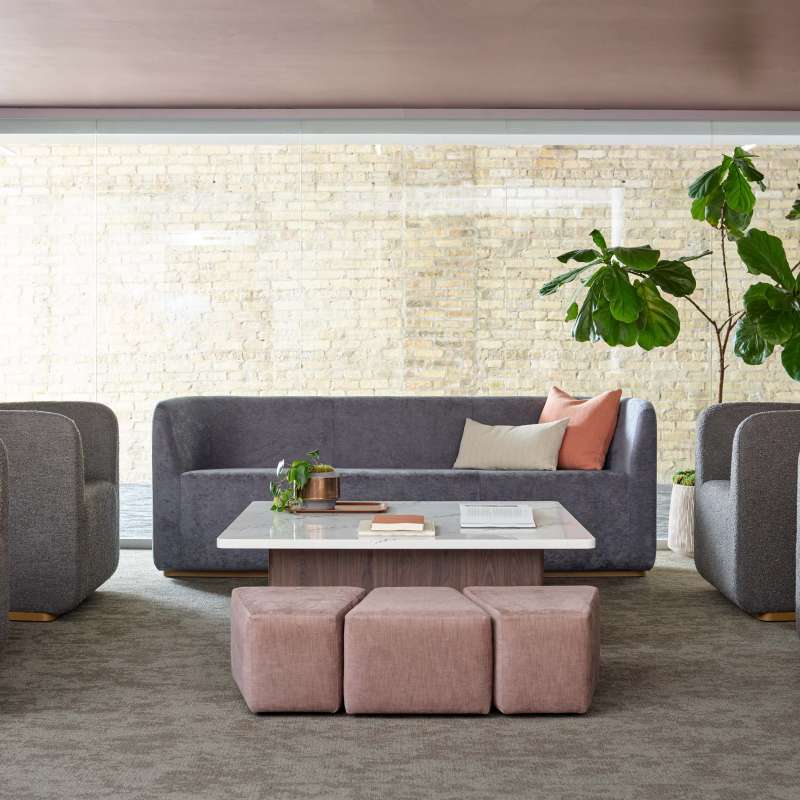 Elara, X&O, and Boost+ pediatrics