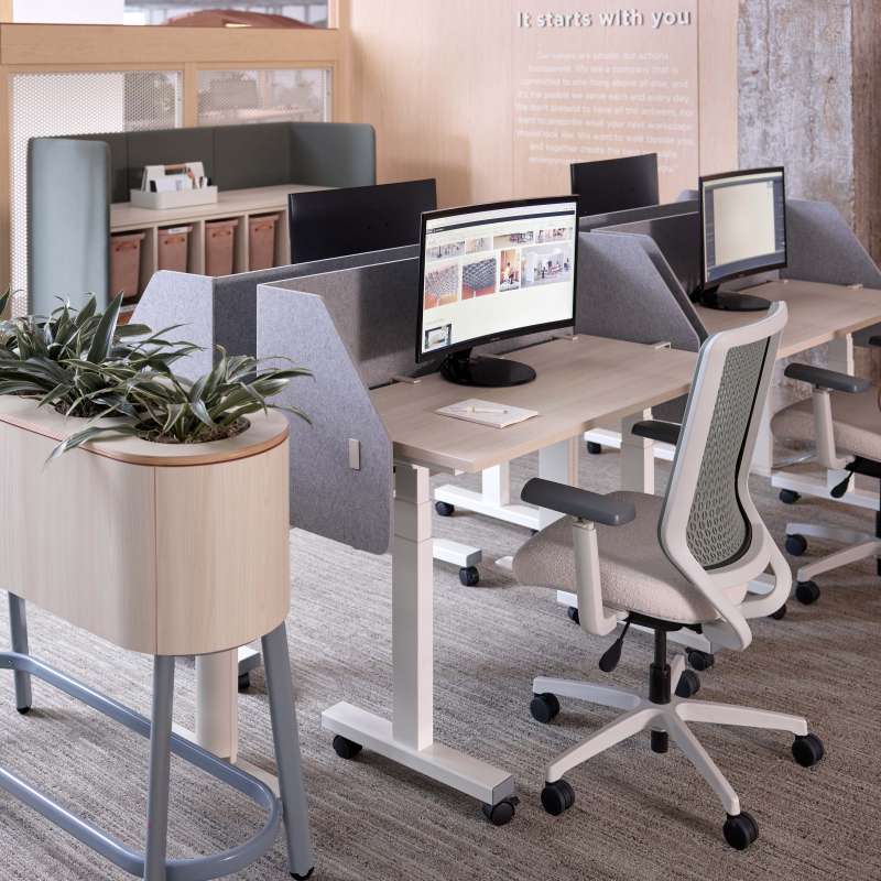 Genus, Fleet, and Agile