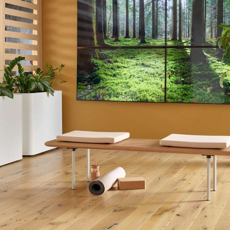 Rowen bench and Hydra