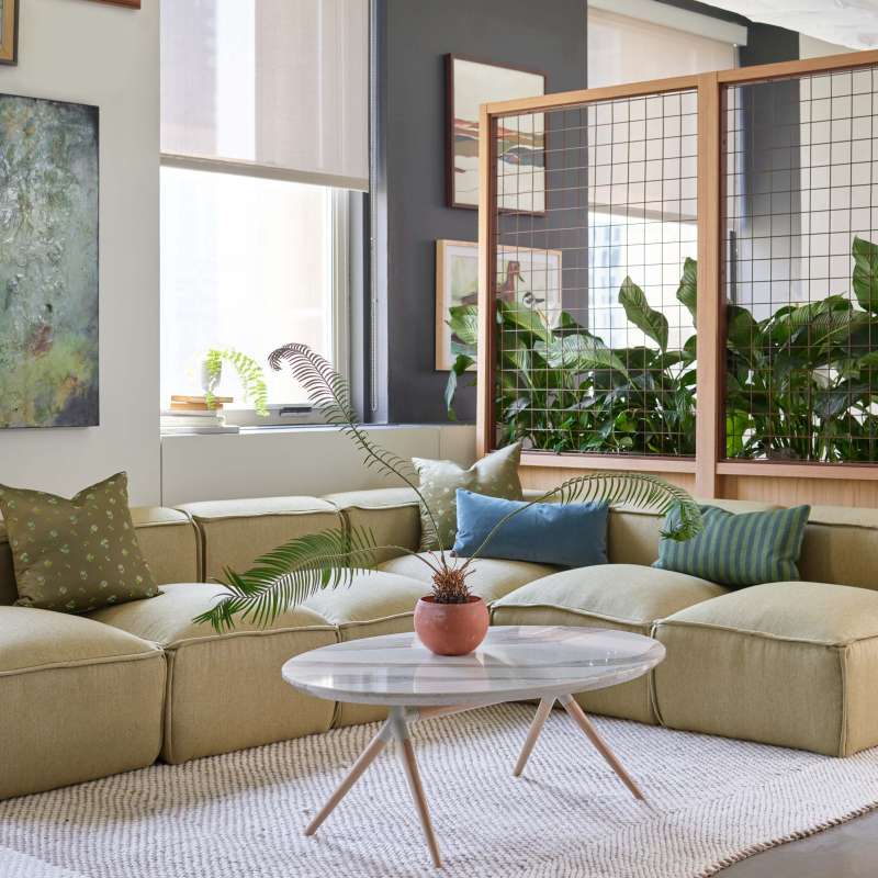 Hinchada, Roo, and Hydra