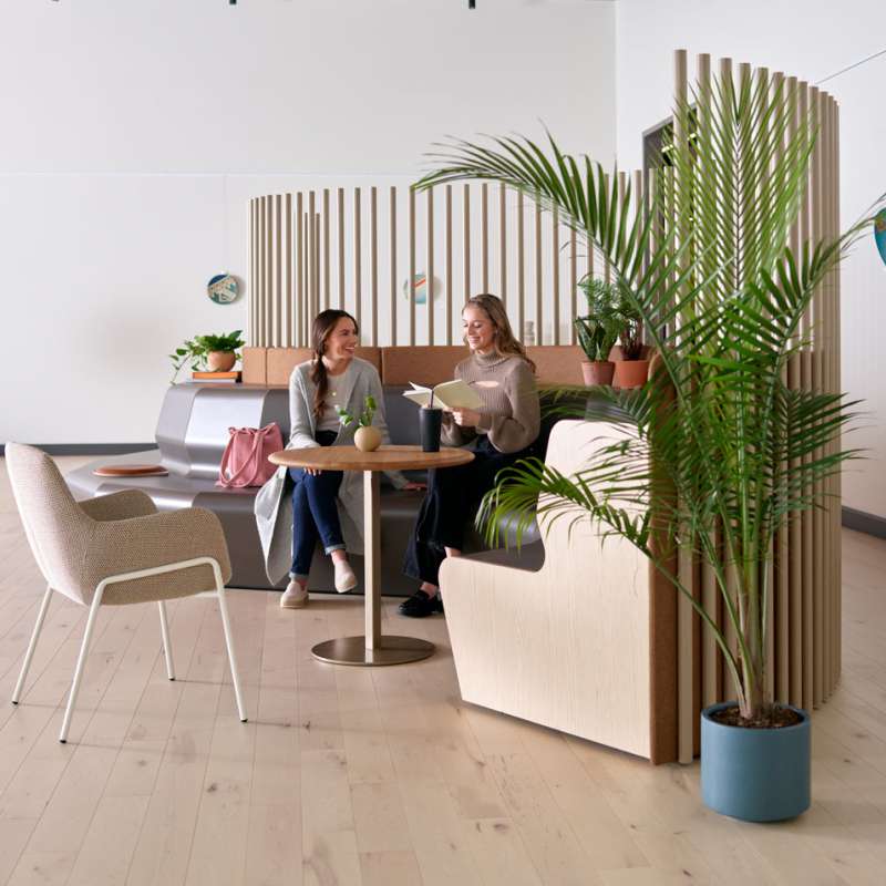 Gathr, Rowen, and Sofy