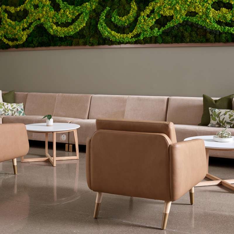 Evergreen, Neom, and Modern Amenity