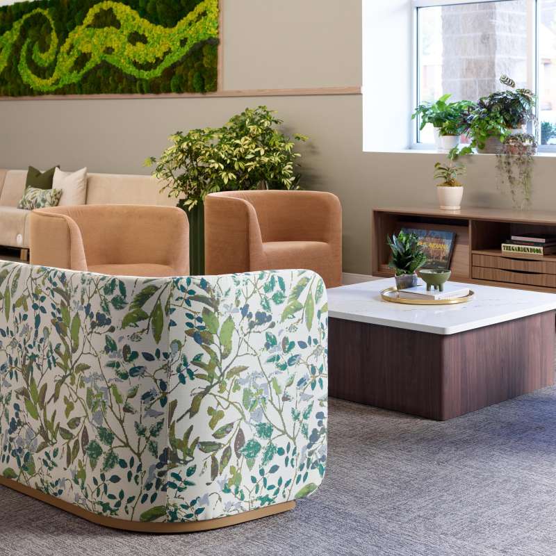 Elara, X&O, and Rowen