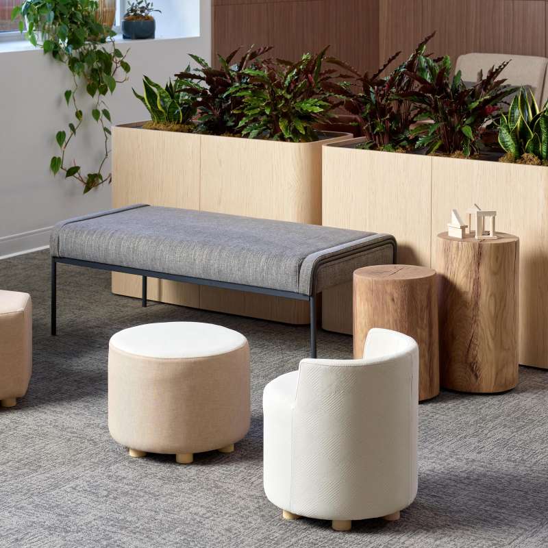 Rule of Three, Boost+, Boost+ pediatrics, Denro, ...